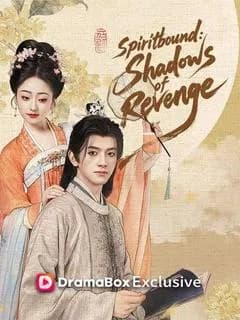 Spiritbound: Shadows of Revenge (DUBBED)